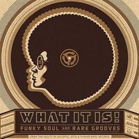 Various-What_It_Is_Funky_Soul_and_Rare_Grooves_b.jpg