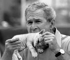 george-bush-eats-a-kitten.jpg