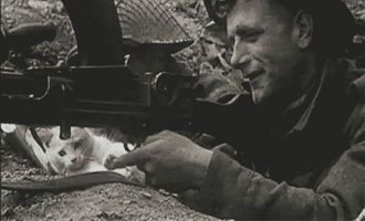cat-in-the-trenches-at-war.gif