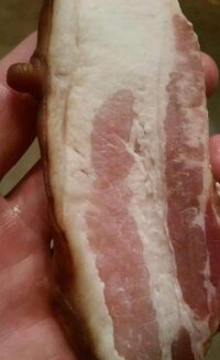 nipple bacon.jpg