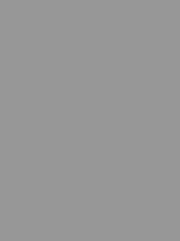 0000550_solid-grey.png