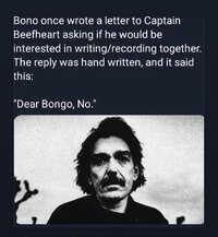 bongo.jpg