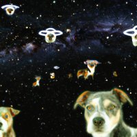 AI generated dogs taking over the universe (1).jpg