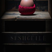 An egg in a bodice on an old Smithwicks crate, symbolizing the hollow souls of the polycrisis ...jpg