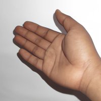 A human hand (1).jpg